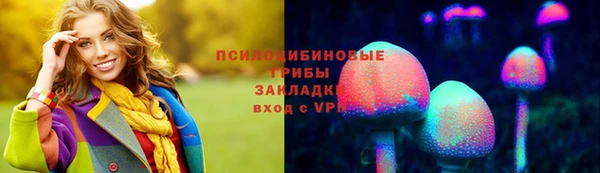 ешки Абинск