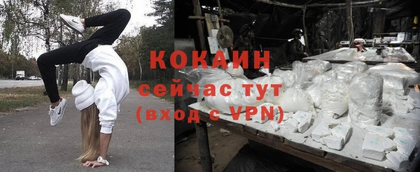 кокс Алексин