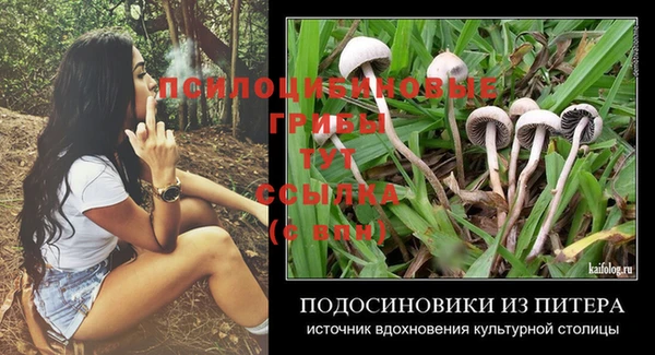 твердый Армянск