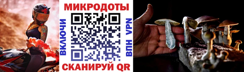 Псилоцибиновые грибы Psilocybe  Инсар 